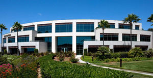 delmaroffice_sm